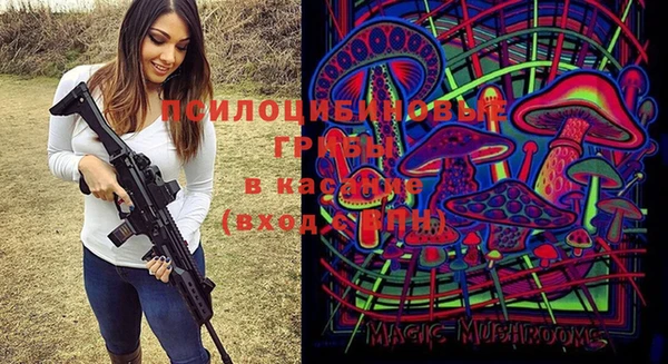 2c-b Елизово