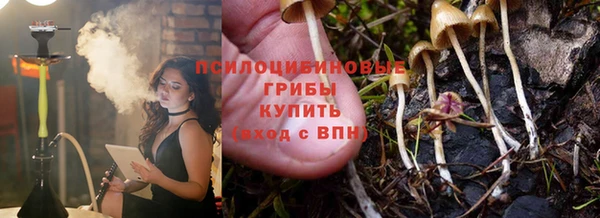 2c-b Елизово